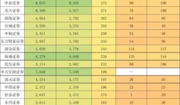 国产精品水印,匠心独运，传承文化之美