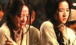 靖康之变电视剧,北宋末年的国破家亡悲歌