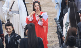 雪鹰电视剧演员表,实力派明星齐聚，演绎热血青春传奇